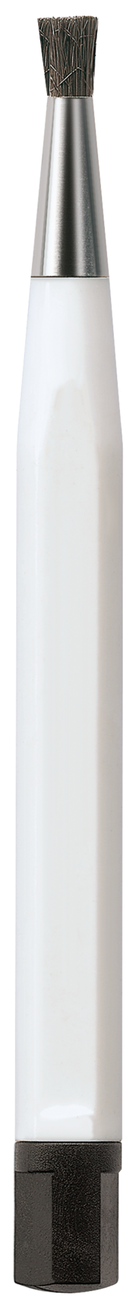 Cepillo de limpieza P6820